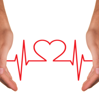 Quelle est l’influence du cœur sur la santé ?