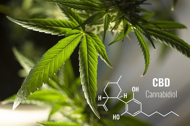 cannabinoid