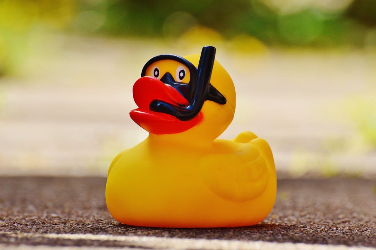 CANARD DE BAIN